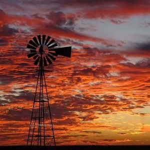 Meet your Posher, Trish